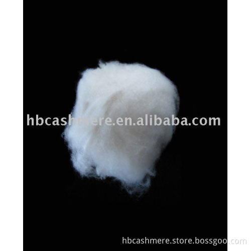 Cashmere raw fibre